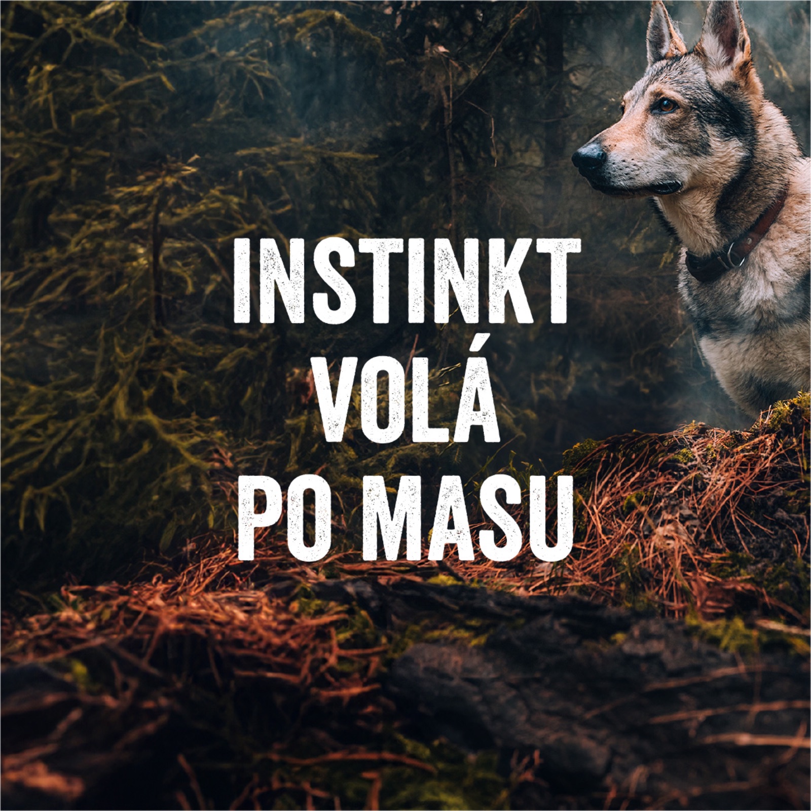 Banner „Instinkt volá po masu“