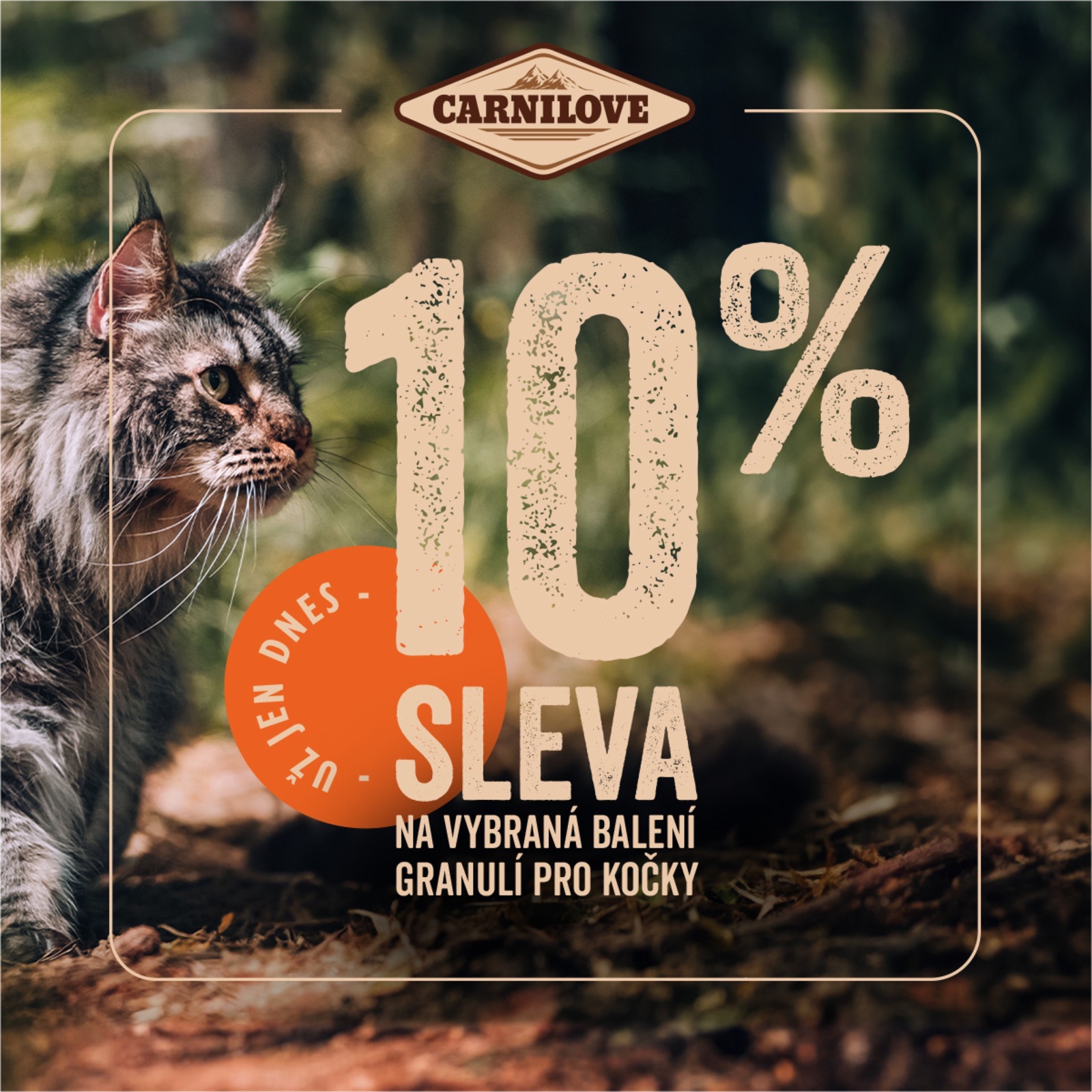 Sleva 10 % pro kočky