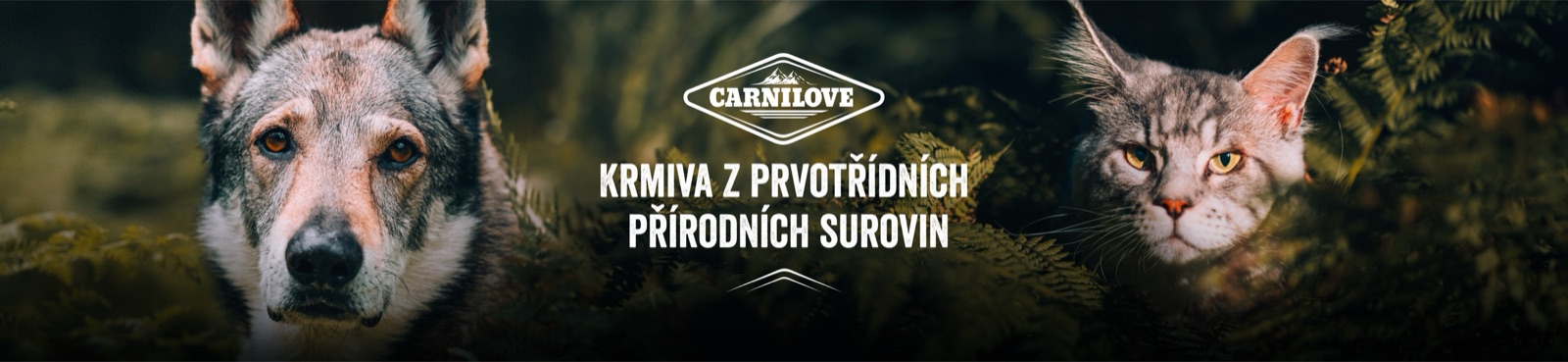 Grafika bočnice