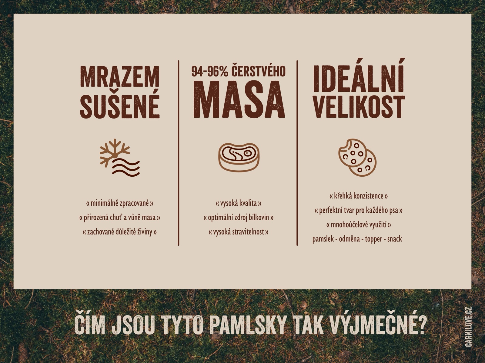 Prezenter — ideální velikost