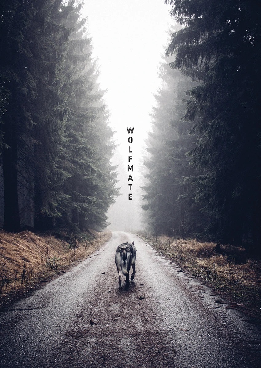 Wolfmate — plakáty — 3