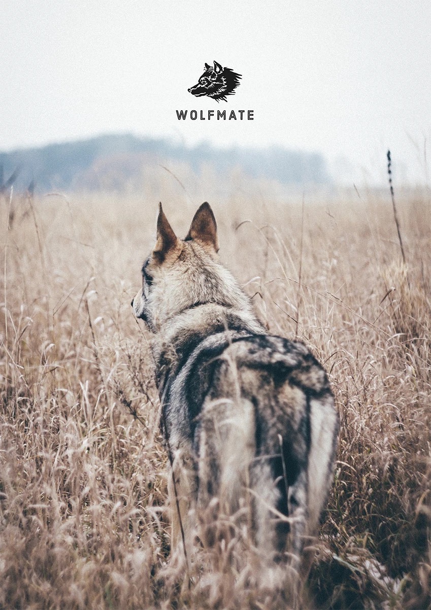 Wolfmate — plakáty — 4