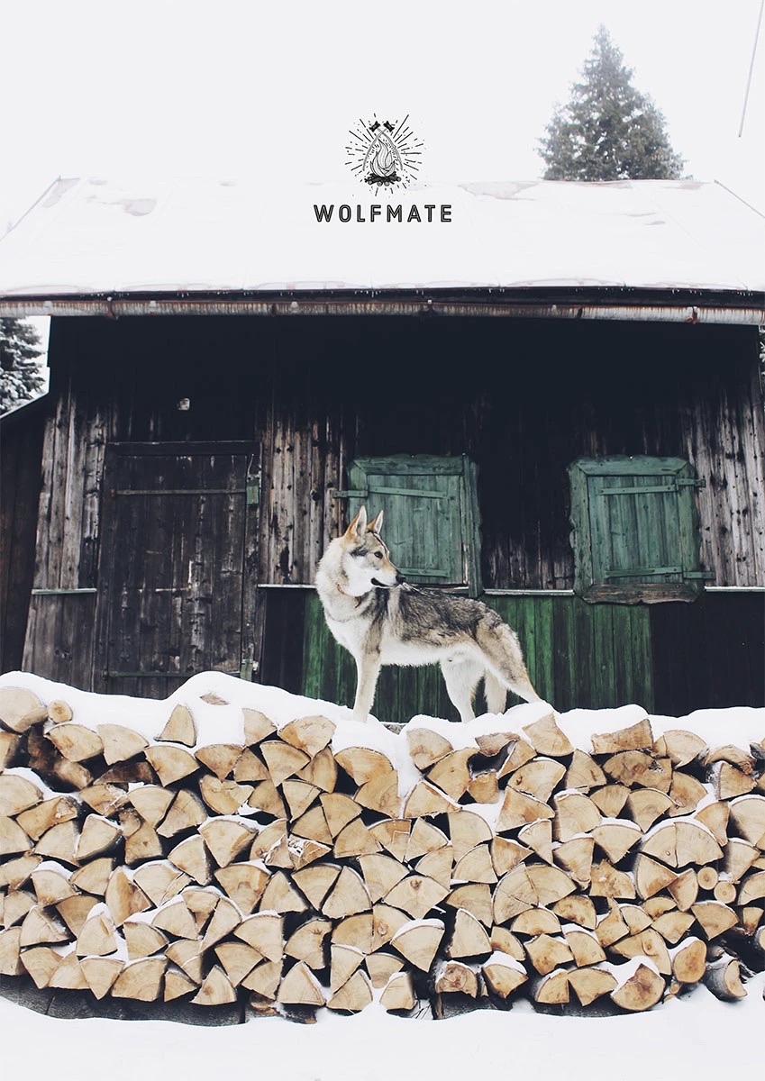 Wolfmate — plakáty — 5