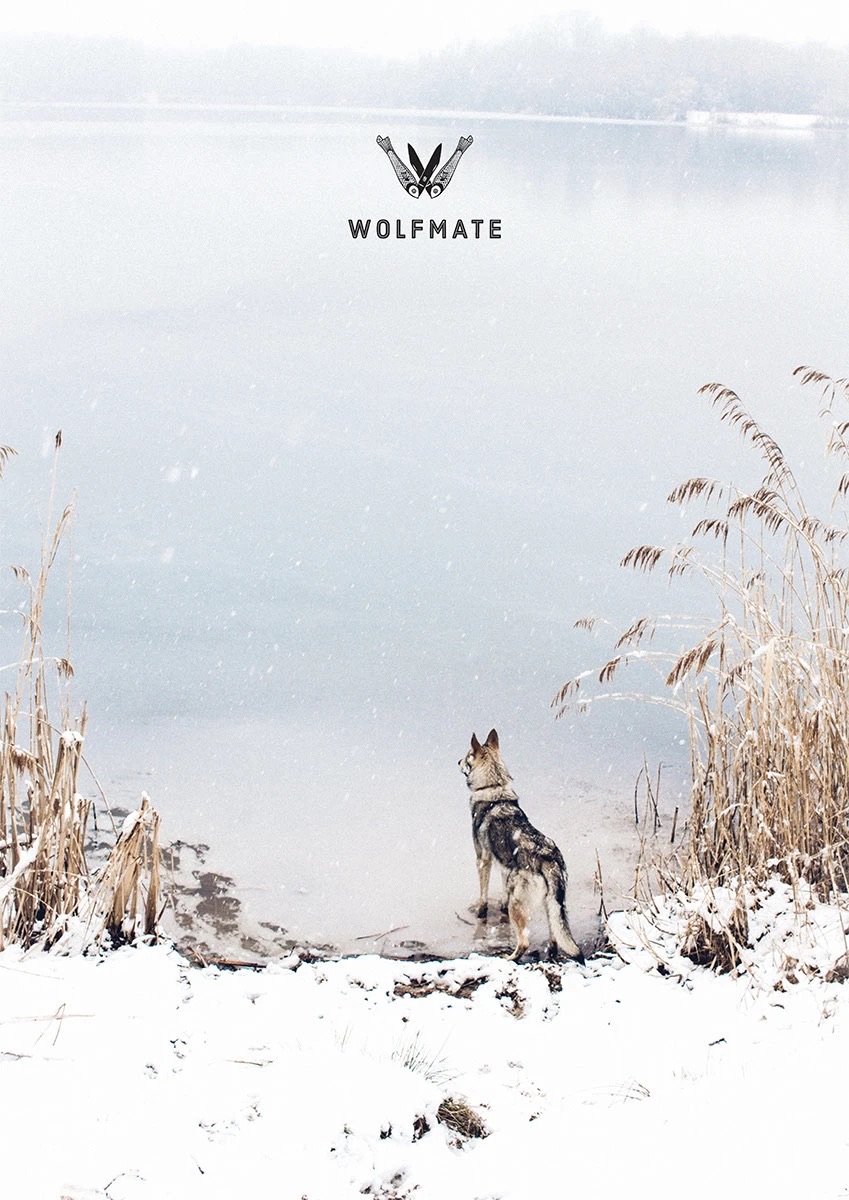 Wolfmate — plakáty — 6